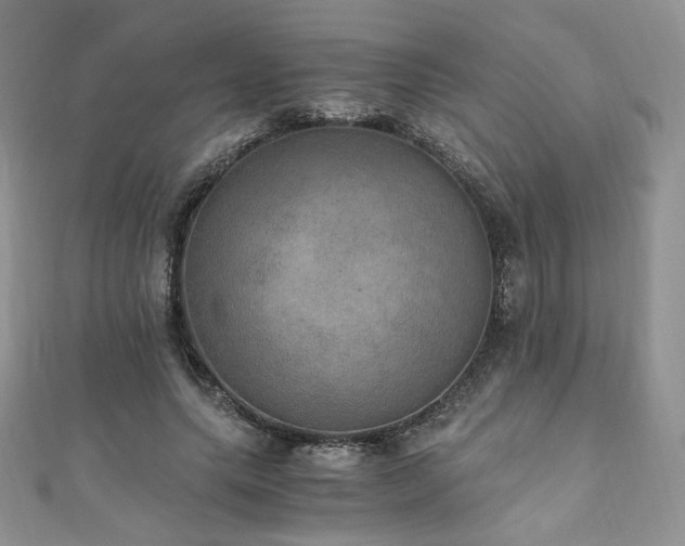 X0000110890639200906181246