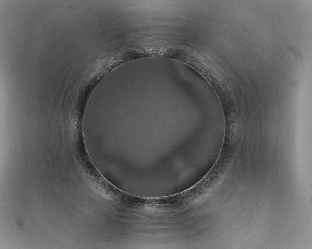 X0000110890641200906181247