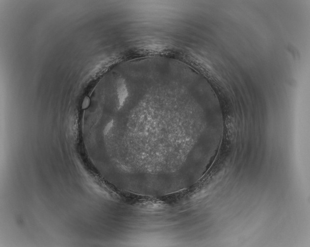 X0000110890642200906181247