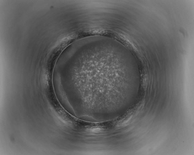 X0000110890643200906181247