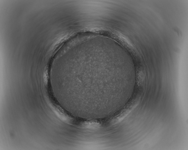 X0000110890644200906181247