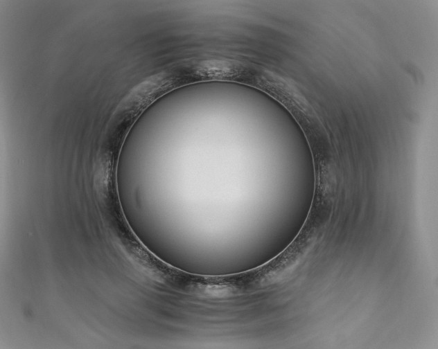 X0000110890645200906181247