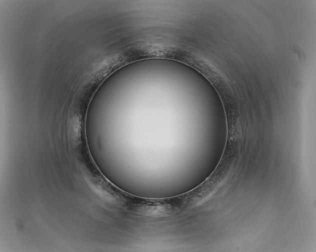 X0000110890646200906181247