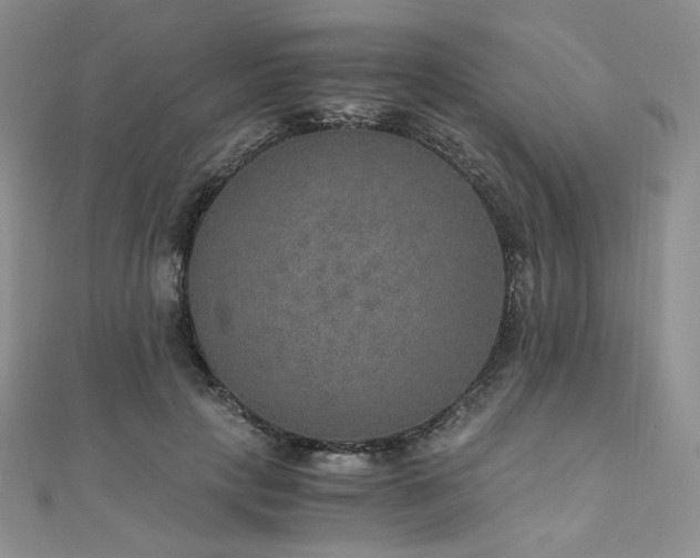 X0000110890649200906181247