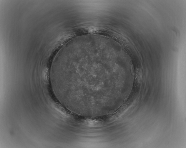 X0000110890650200906181247