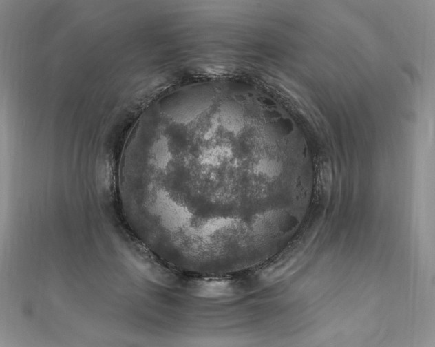 X0000110890651200906181247