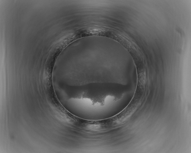 X0000110890653200906181247