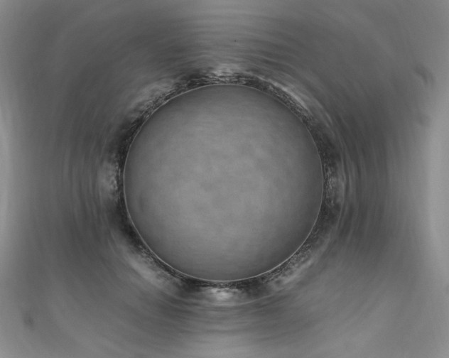 X0000110890654200906181247
