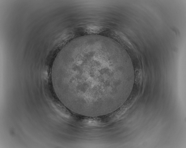 X0000110890655200906181247