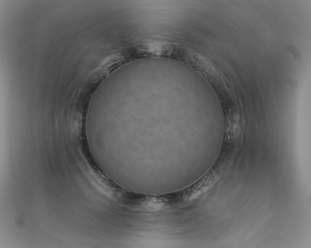 X0000110890656200906181247