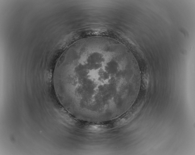 X0000110890657200906181247