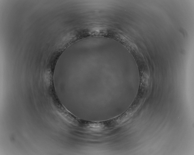 X0000110890659200906181247