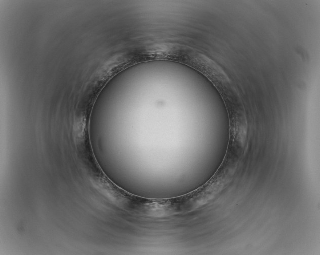 X0000110890660200906181247