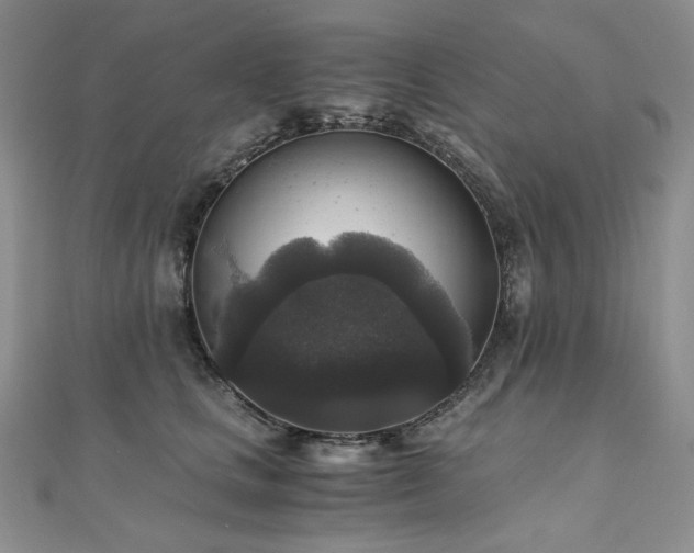X0000110890661200906181247