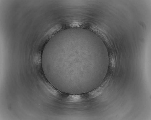 X0000110890665200906181247
