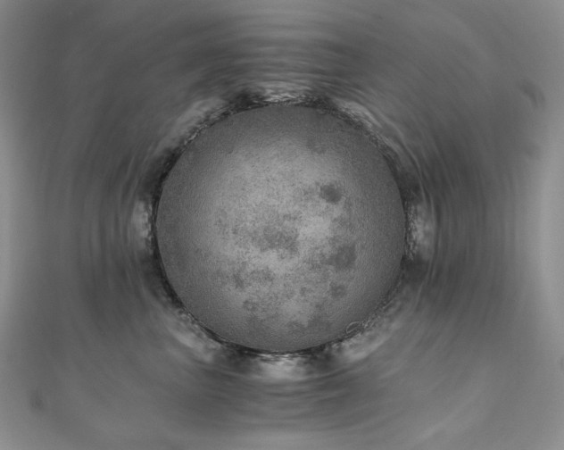 X0000110890667200906181247