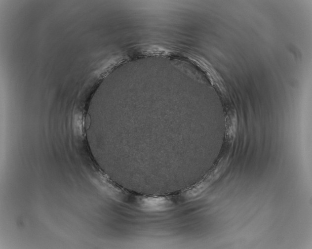 X0000110890669200906181247