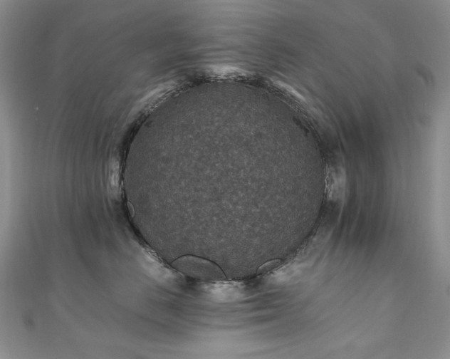 X0000110890670200906181247