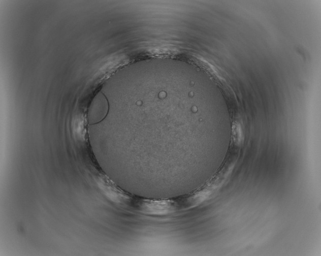 X0000110890671200906181247