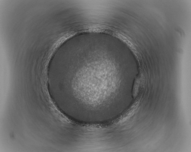X0000110890673200906181246