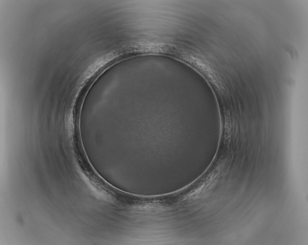X0000110890674200906181246