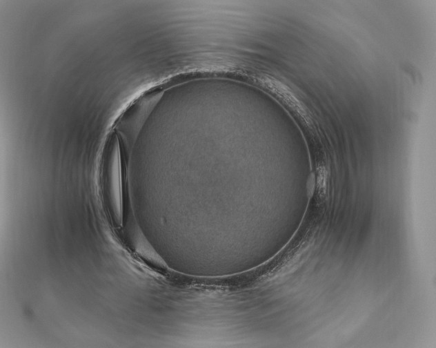 X0000110890676200906181246