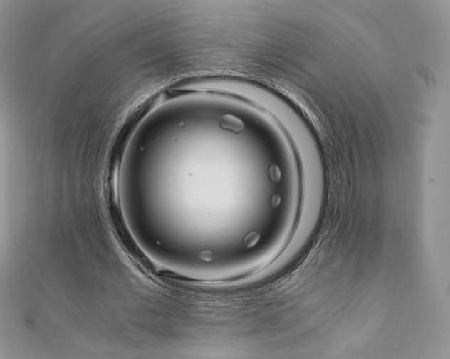 X0000110890677200906181246