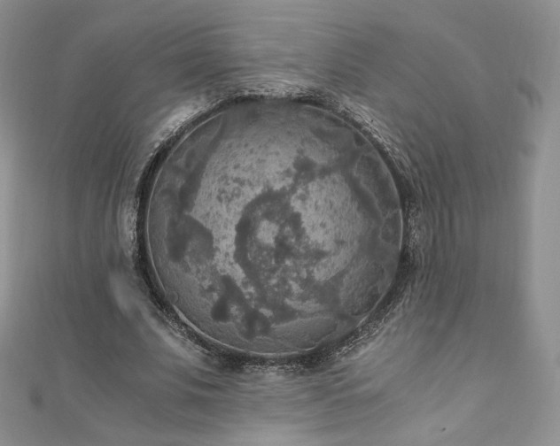 X0000110890679200906181246