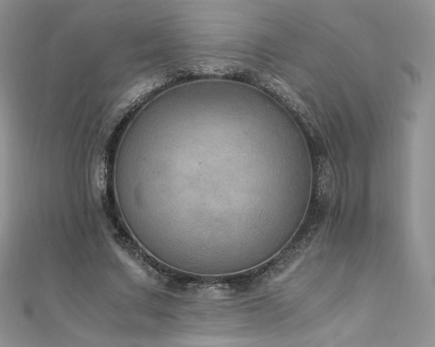 X0000110890683200906181246