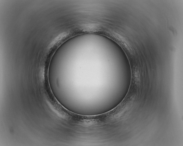 X0000110890686200906181246