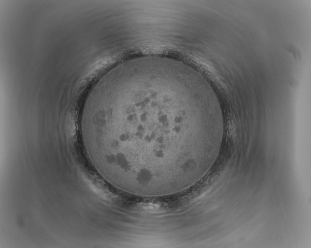 X0000110890687200906181246