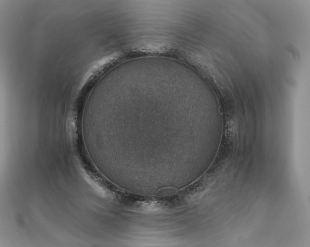 X0000110890688200906181246