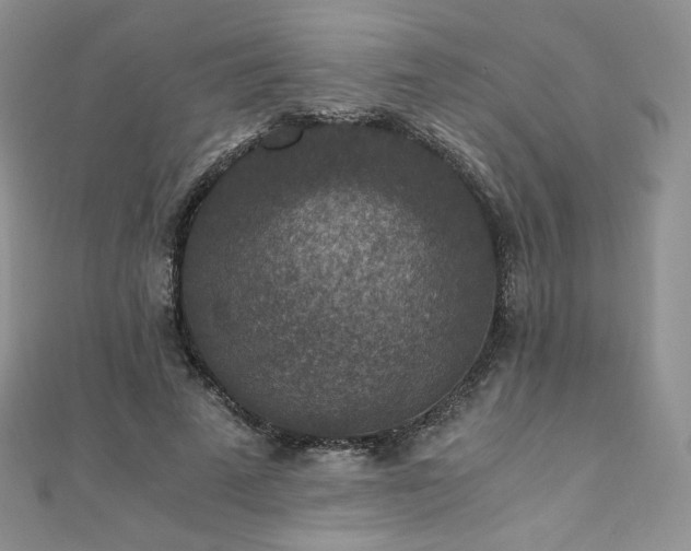 X0000110890689200906181246