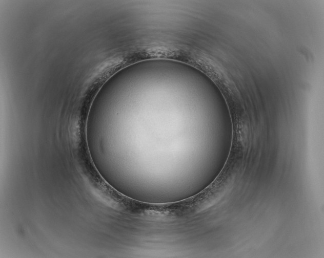 X0000110890690200906181246