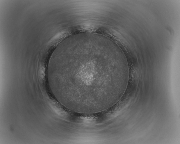 X0000110890693200906181246