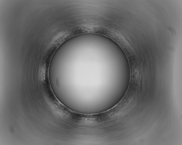 X0000110890694200906181246