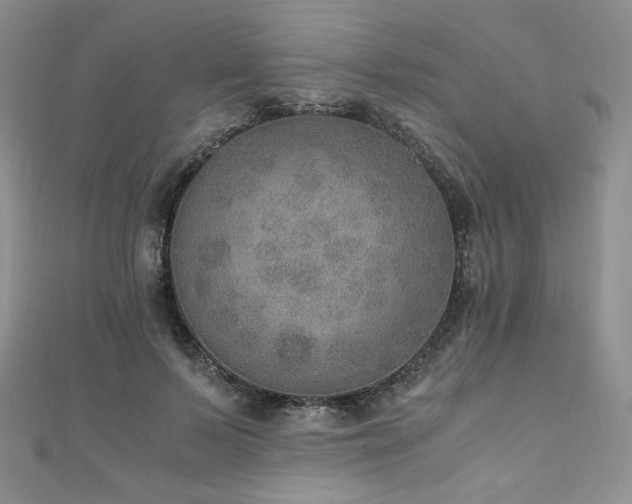 X0000110890695200906181246