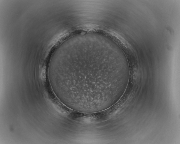 X0000110890696200906181246