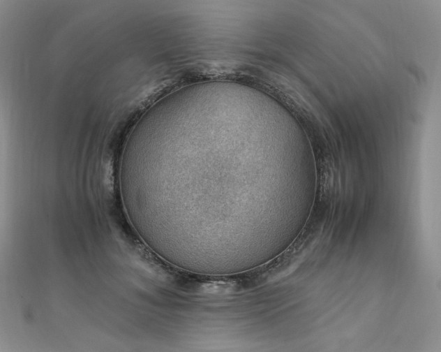 X0000110890700200906181246