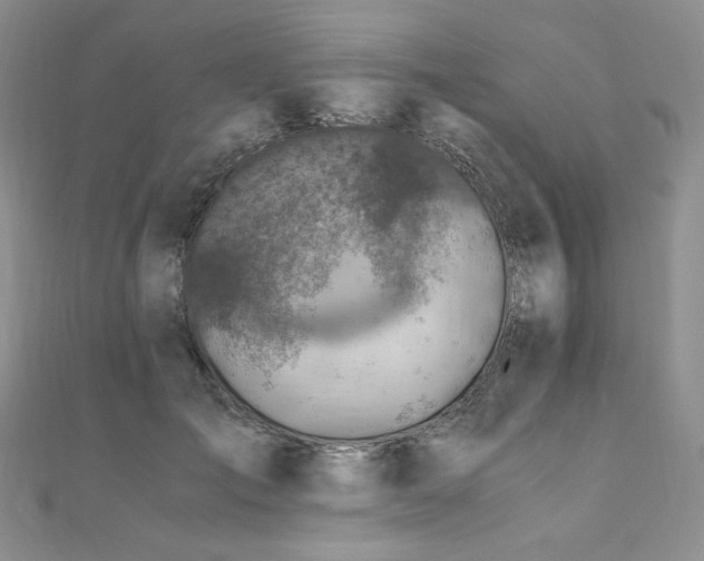 X0000110890701200906181246