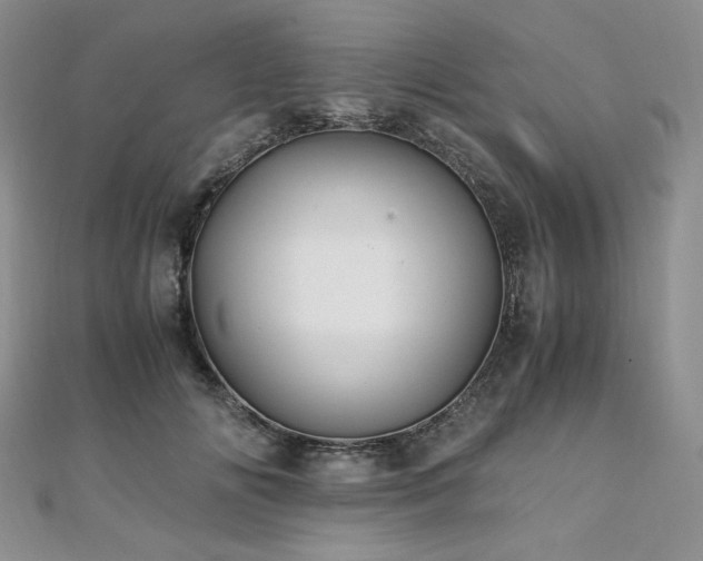X0000110890702200906181246