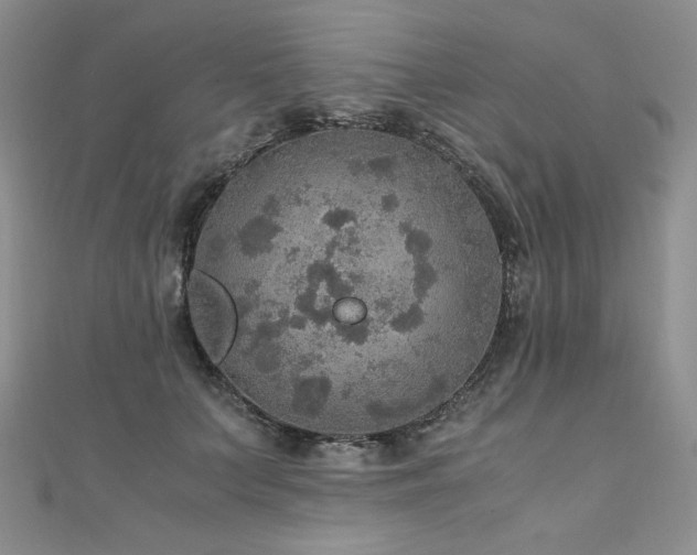 X0000110890703200906181246