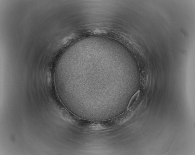 X0000110890704200906181246
