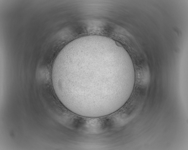 X0000110890705200906181246