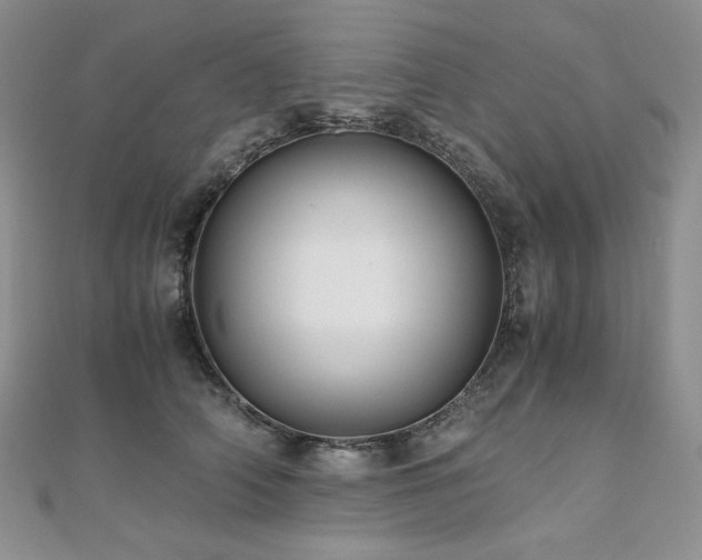 X0000110890706200906181246