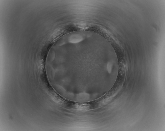 X0000110890707200906181246