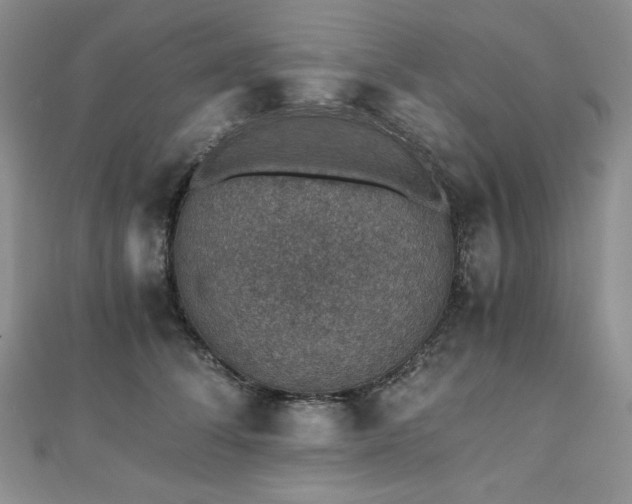 X0000110890708200906181246