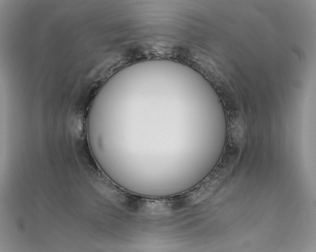 X0000110890709200906181246
