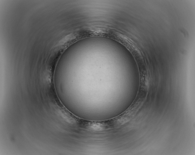 X0000110890710200906181246