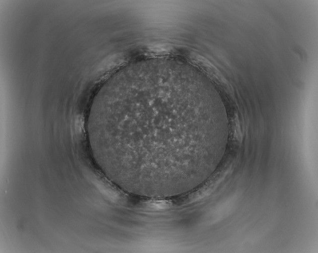 X0000110890711200906181246